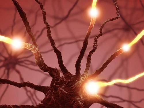 Большинство нейронов, реагирующих на боль, чувствительны к определенным типам раздражителей