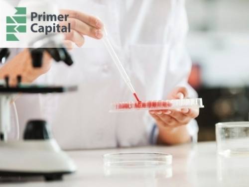 Primer Capital инвестировал $150 тыс. в инновационную диагностику дерматологических заболеваний