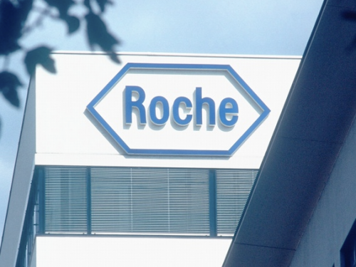 Roche: судебное решение по делу компании BIOCAD по существу пока не принято