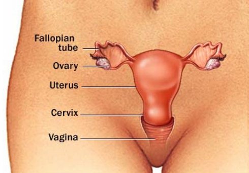 Хронический и острый вагинит