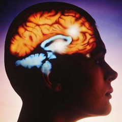 Абсцесс головного мозга – это скопление гноя в черепе человека