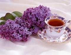 Чай из цветов сирени помогает при эпилепсии